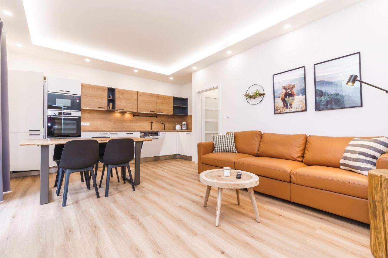 Moderně zařízený apartmán, pohled na obývací část a kuchyňskou linku