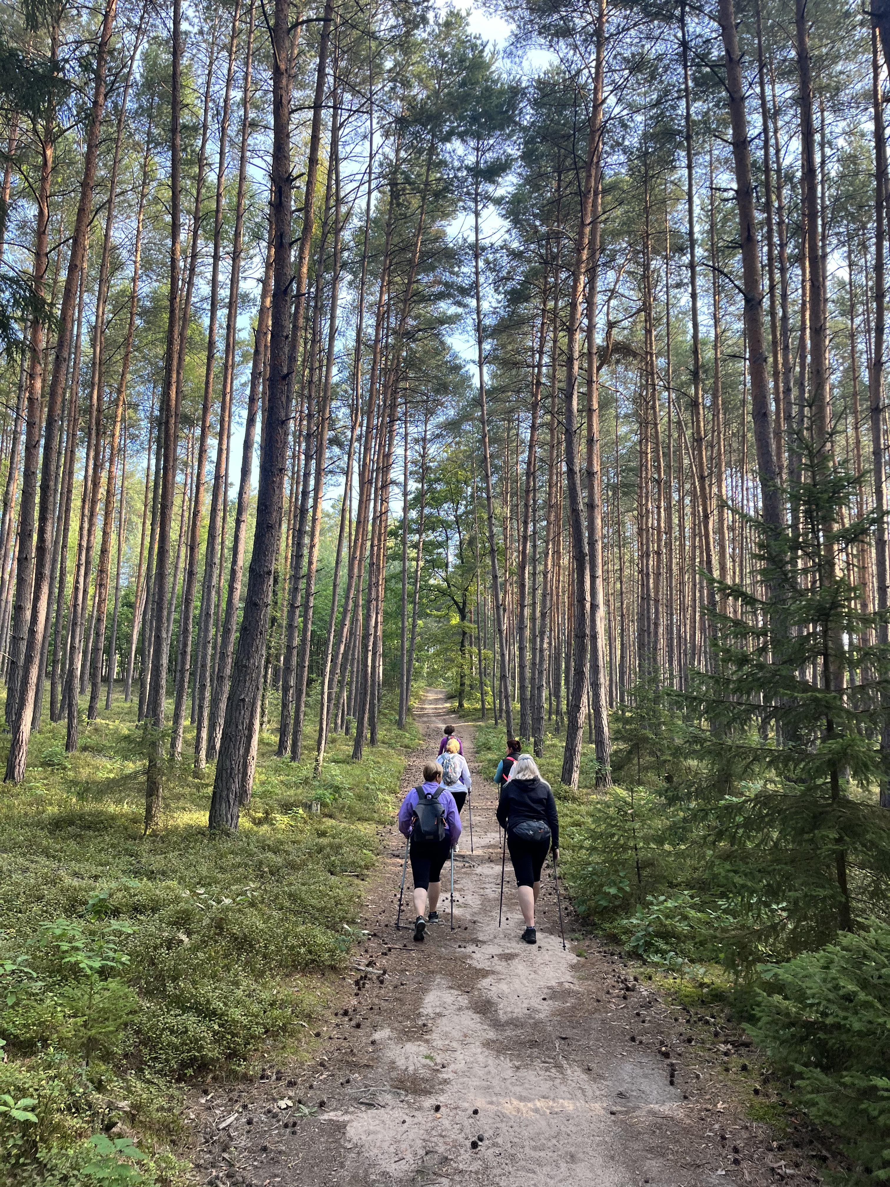 výlety Nordic Walking