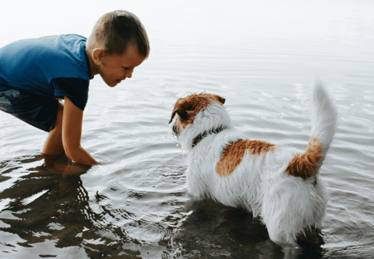 ubytování s dětmi a se psem u vody