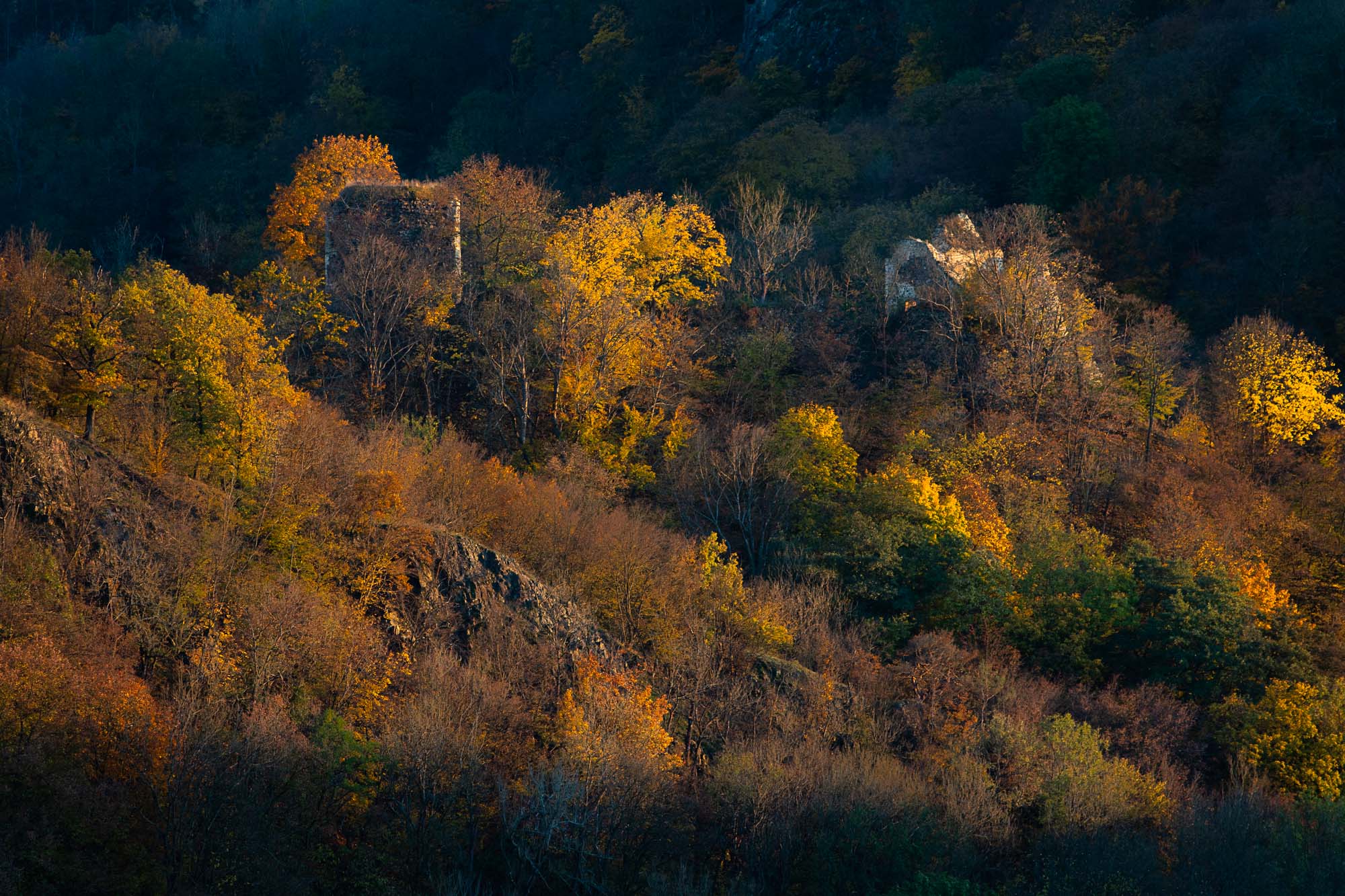 Zřícenina hradu Týřov