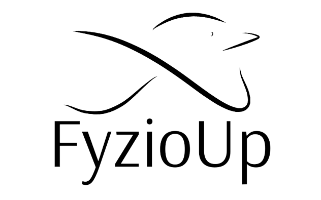 FyzioUp