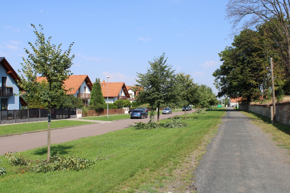 PROVÁDÍME VÝCHOVNÉ ŘEZY STROMŮ 1-10 LET PO VÝSADBĚ VČ. DALŠÍ ÚDRŽBY