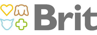 Logo Brit